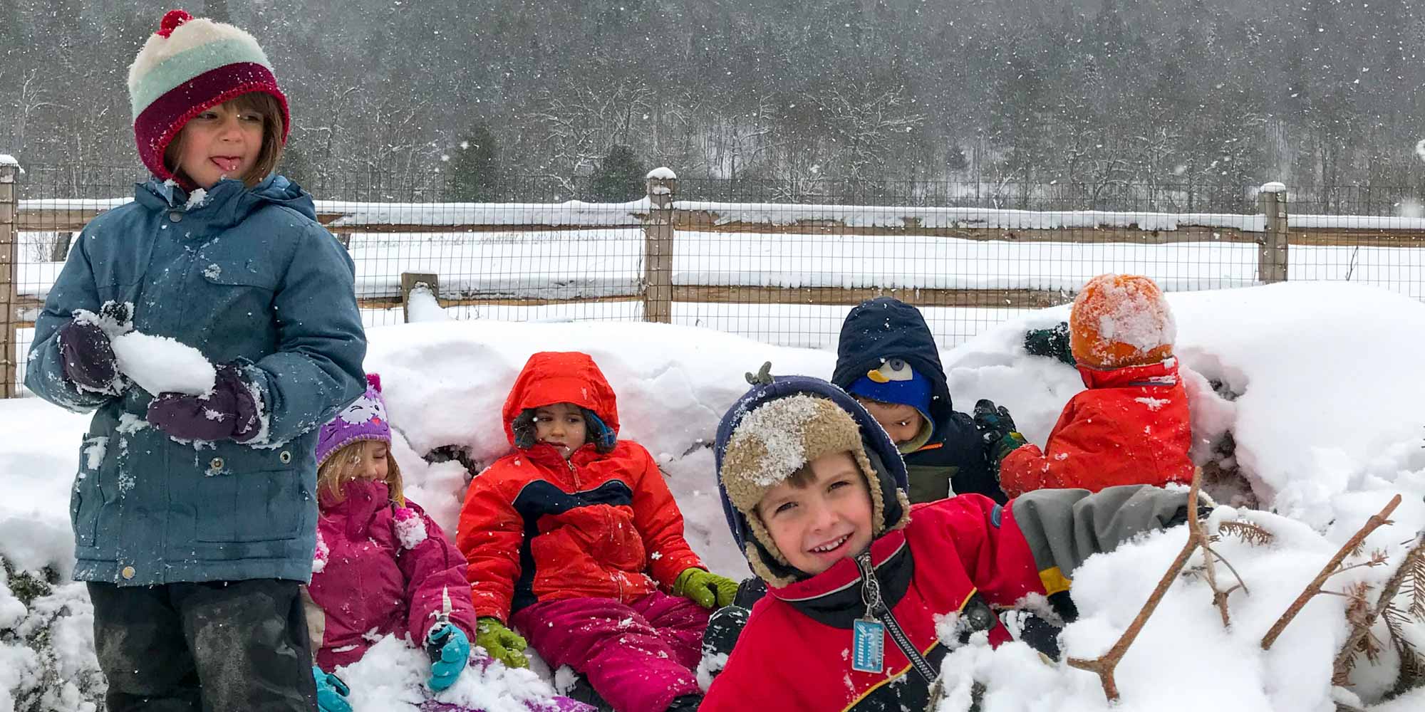 Forest Preschool – North Branch Nature Center