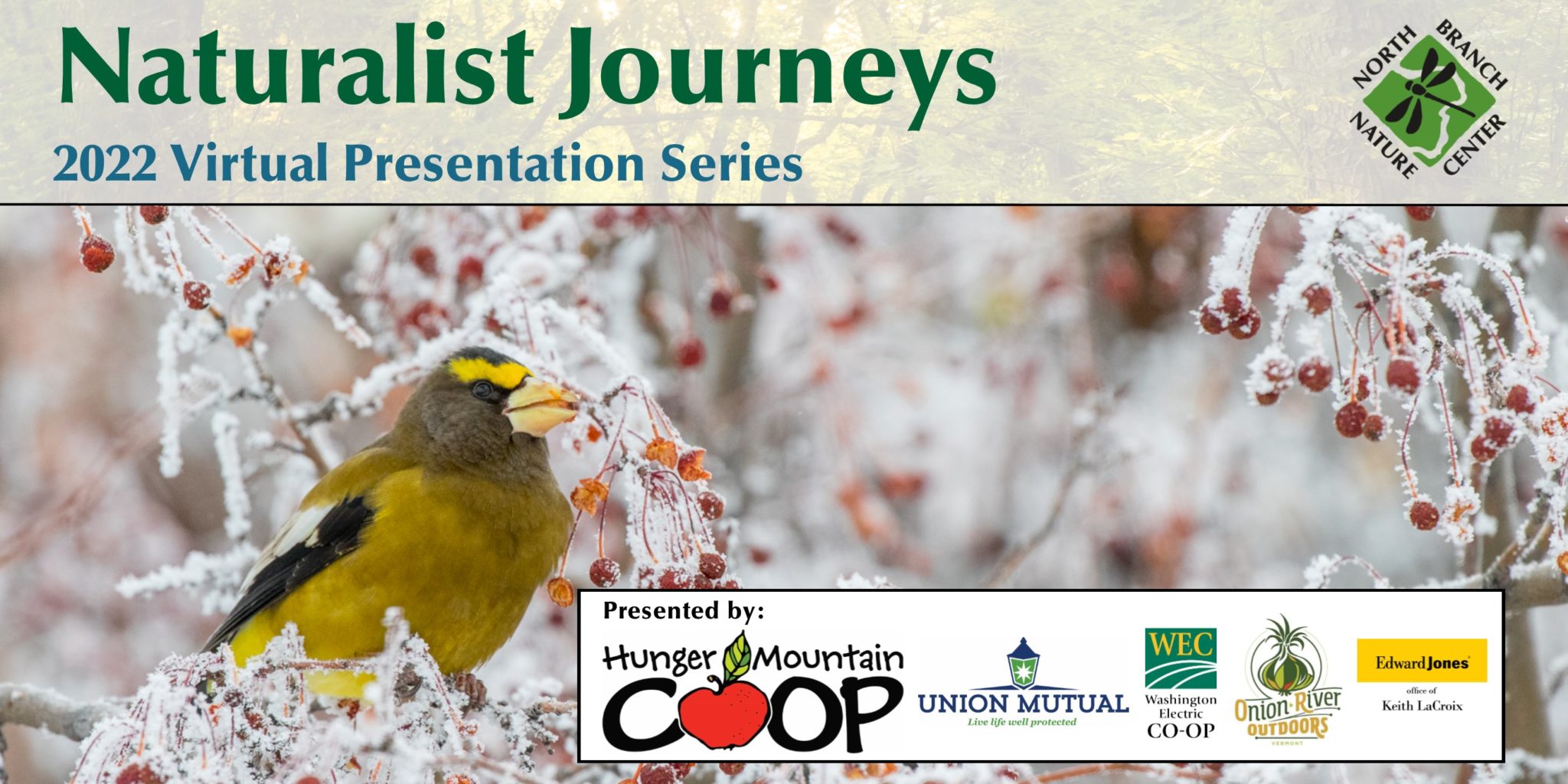 The Winter Finch Forecast with Tyler Hoar Naturalist Journeys Online