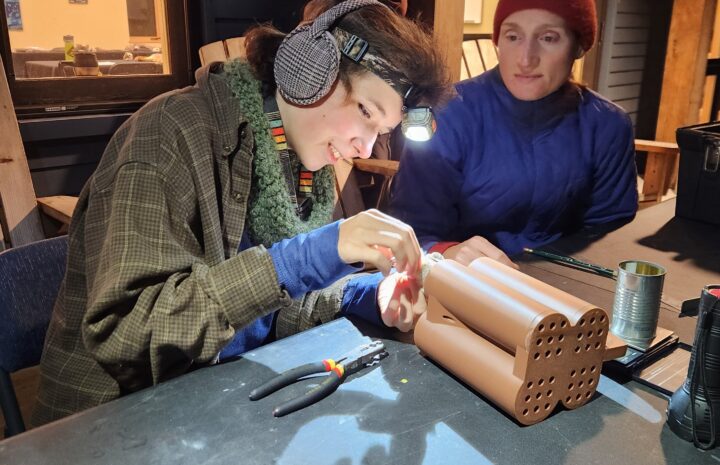 researcher and apprentice extract a saw-whet owl from its transport device