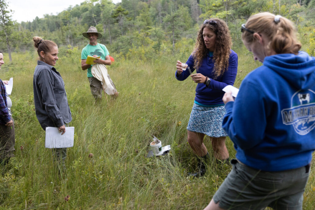 educators sampling in a bog peatland as part of NBNC institute