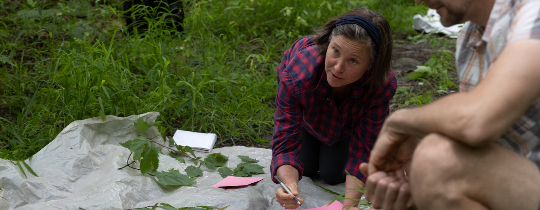 Couse participants identifying leaves in NBNC Educator Institute