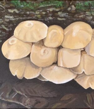 Fruits of the Forest Floor, 