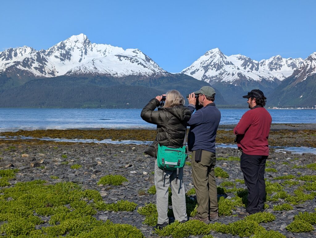 nbnc adventures afar guides and participants in alaska watching bay and mountains with binoculars