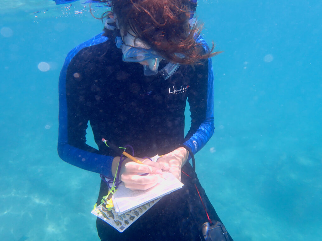 marine ecology student recording data underwater