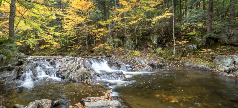 small cascades in a river with fall foliage