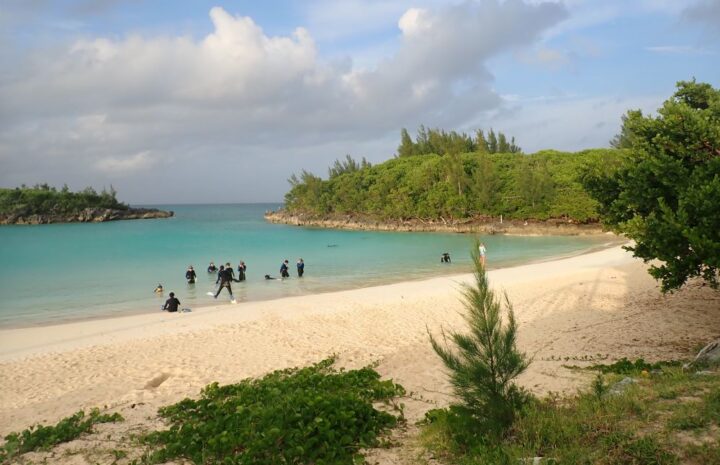 marine ecology students on a white sand beach and tropical blue water