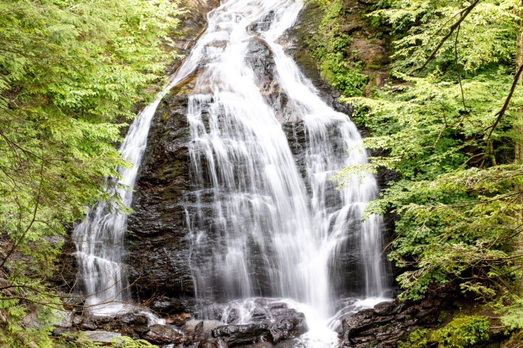 a waterfall flows over rocks bordered on either side by hemlock branches