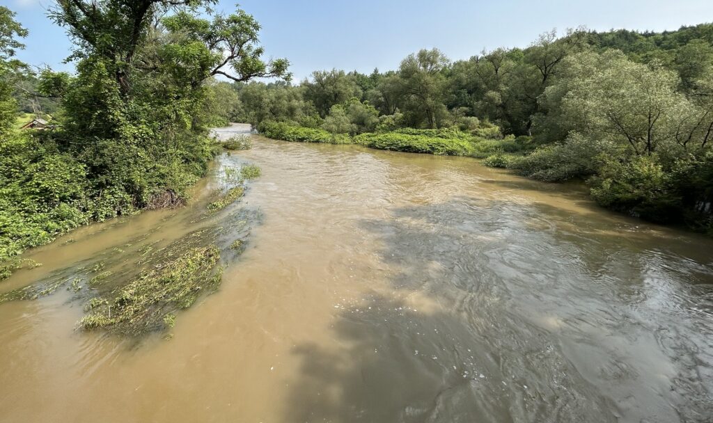 a flood stage north branch river in the summer