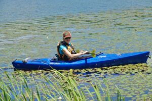 sunny paddle through lily pads